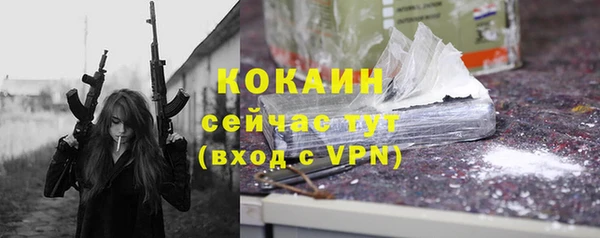 мдпв Снежногорск