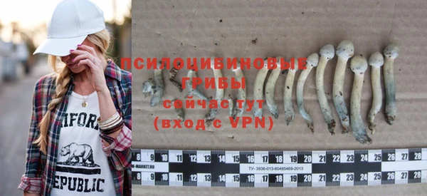 соль курить ск Семёнов