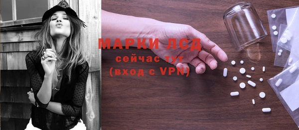 гидра Дрезна