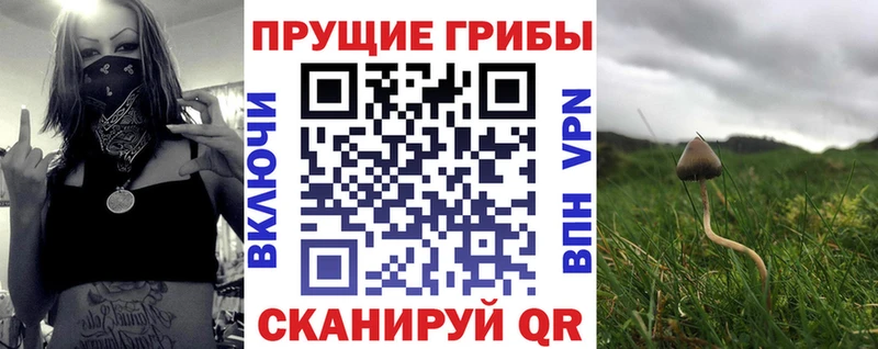 Купить  Демидов  Псилоцибиновые грибы прущие грибы 